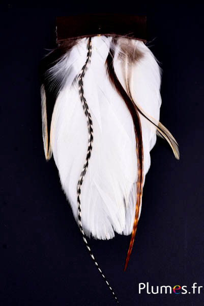 Bijou pour cheveux Grizzly - 15 x 6 cm - blanc
